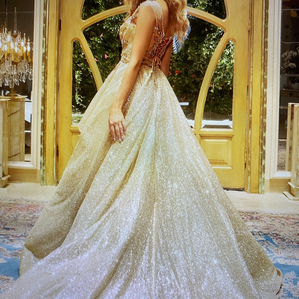 Elegant 2 over skirt dress